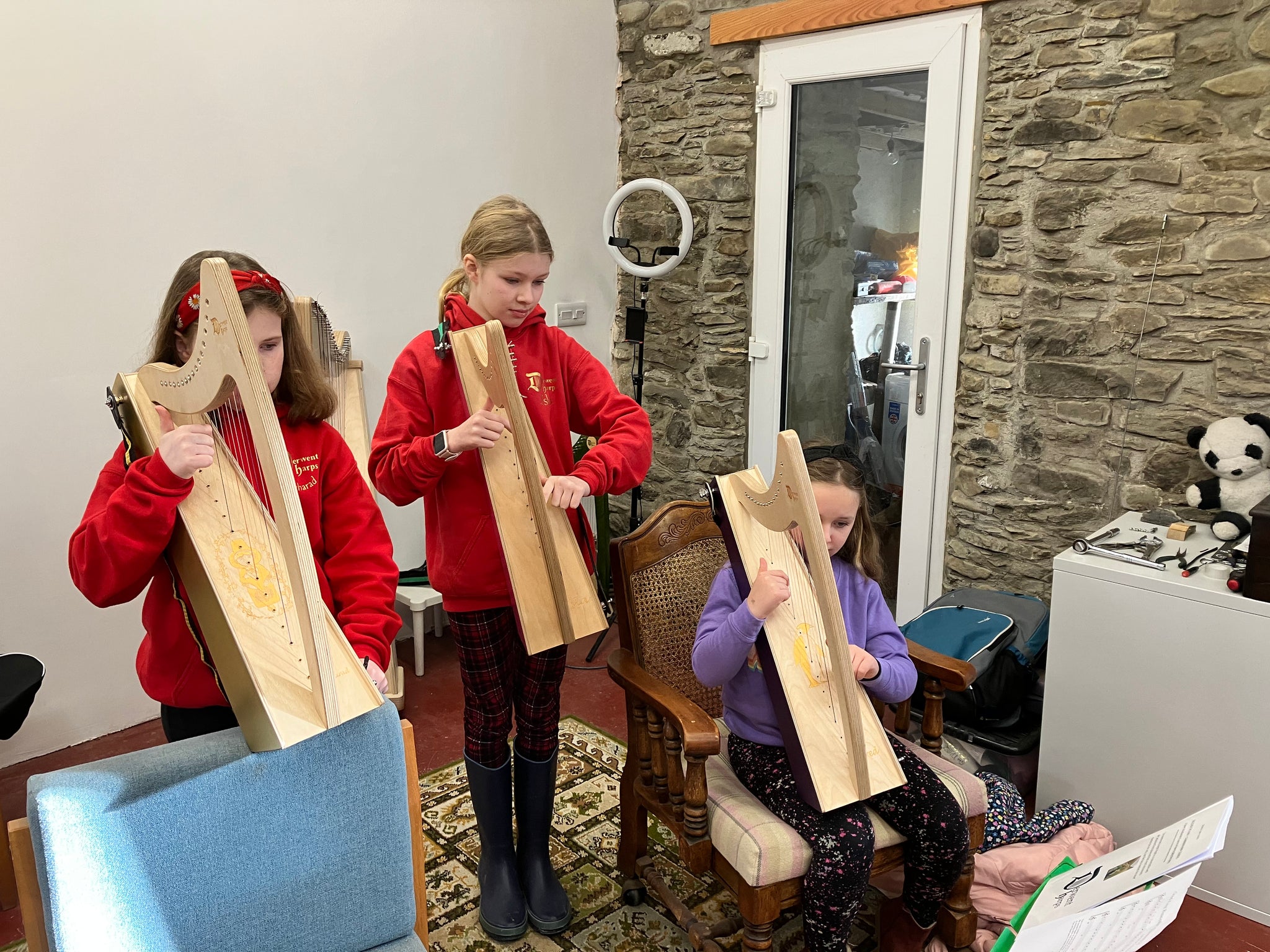Discover The Harp in Llanrhystud 24/2/2024