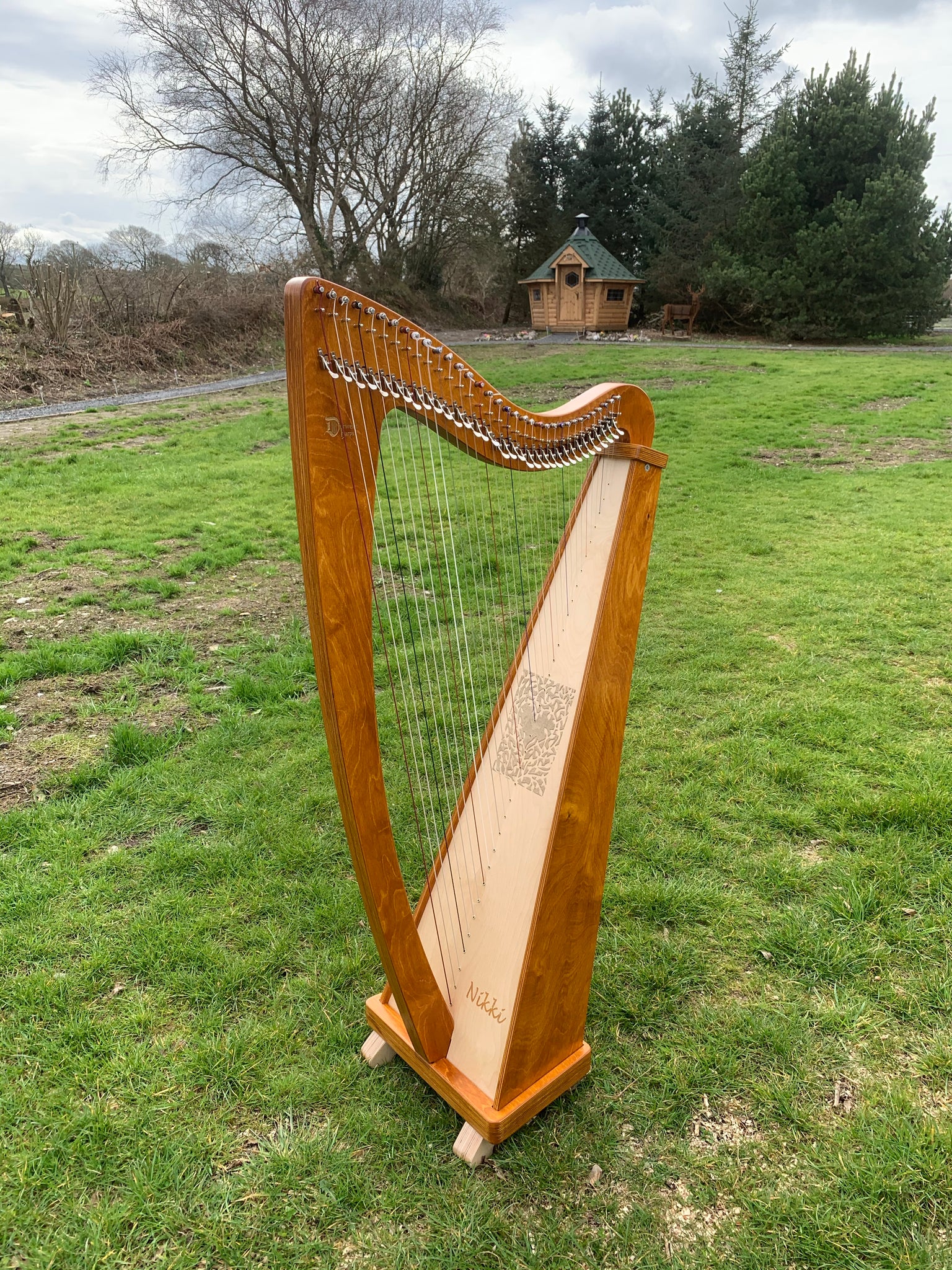 Personalisation of Your Derwent Harp