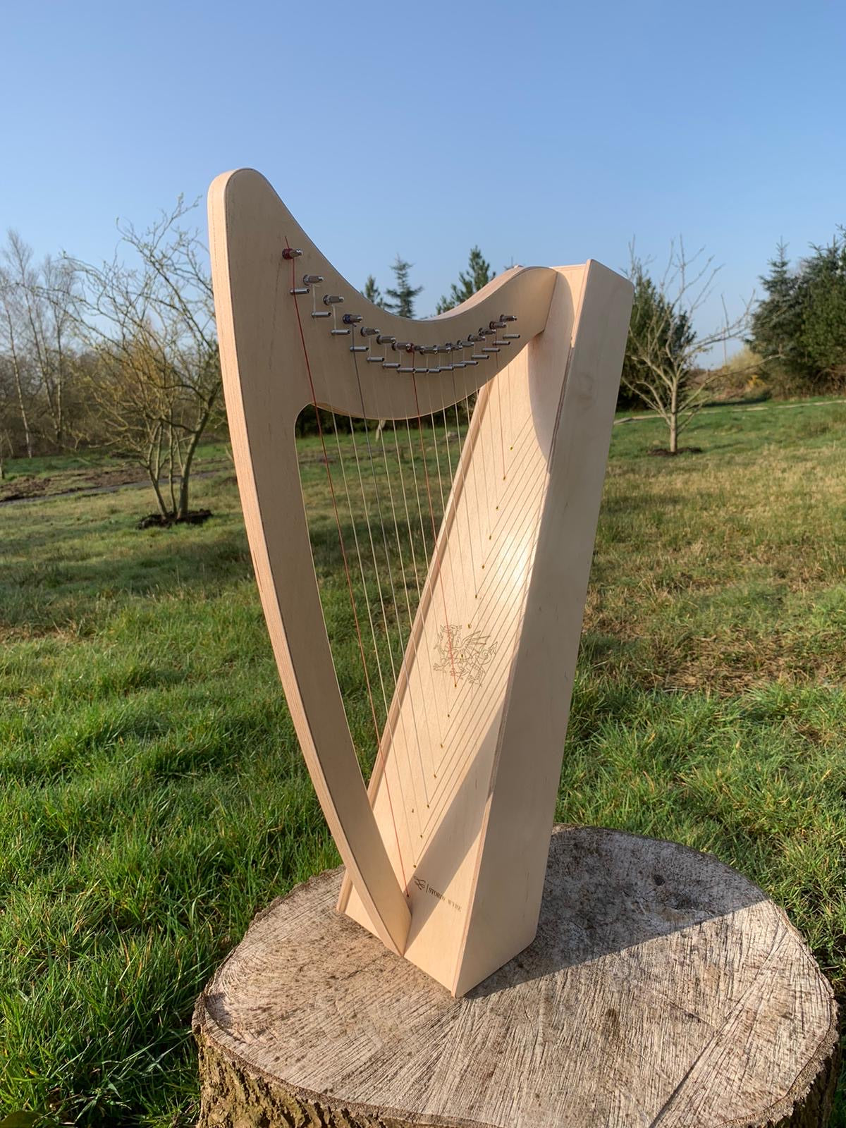 Discovery 16 - Discover the Harp at Home, includes harp, introductory book, 3 video lessons and tuning key