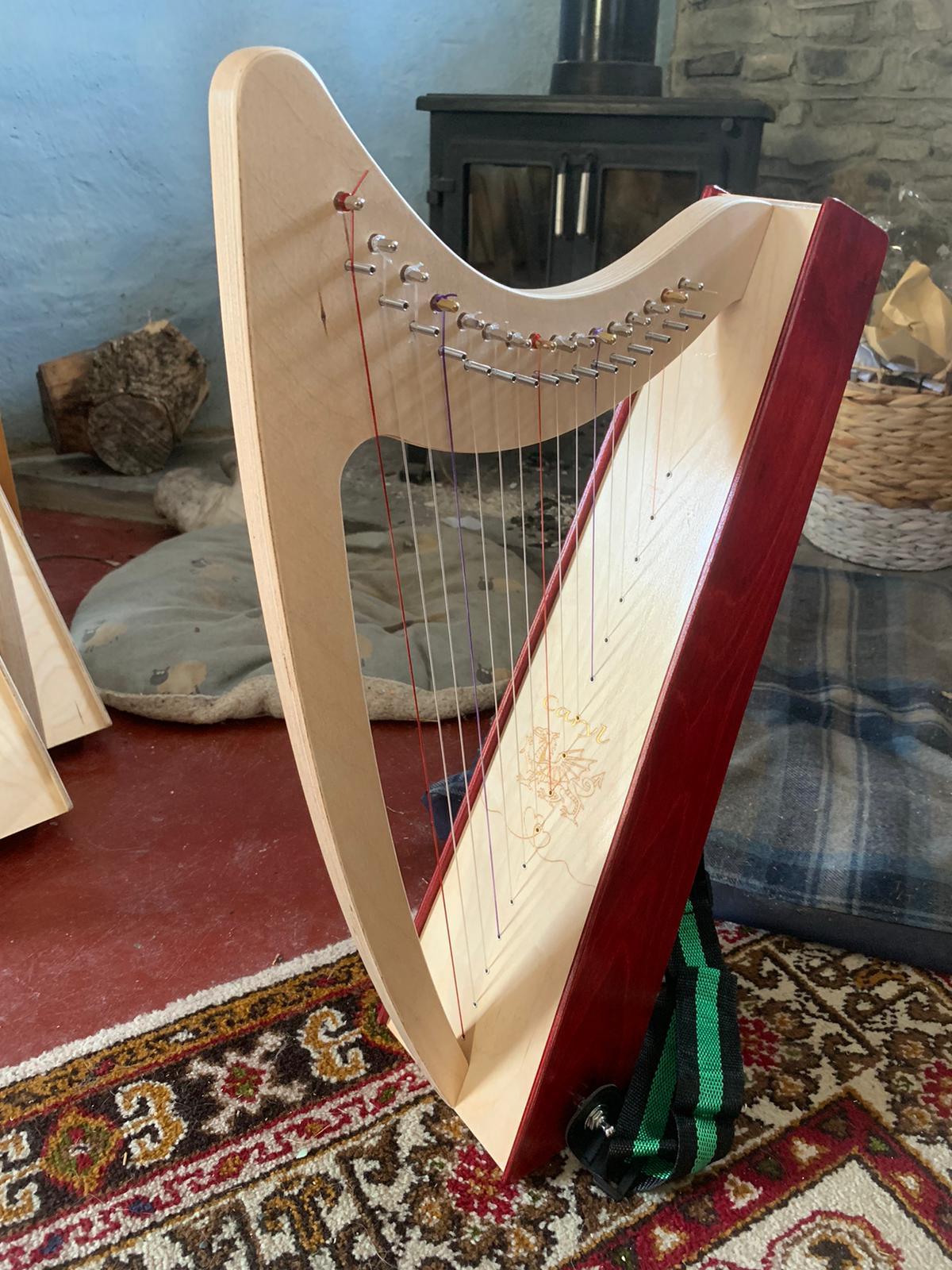 Discovery 16 - Discover the Harp at Home, includes harp, introductory book, 3 video lessons and tuning key
