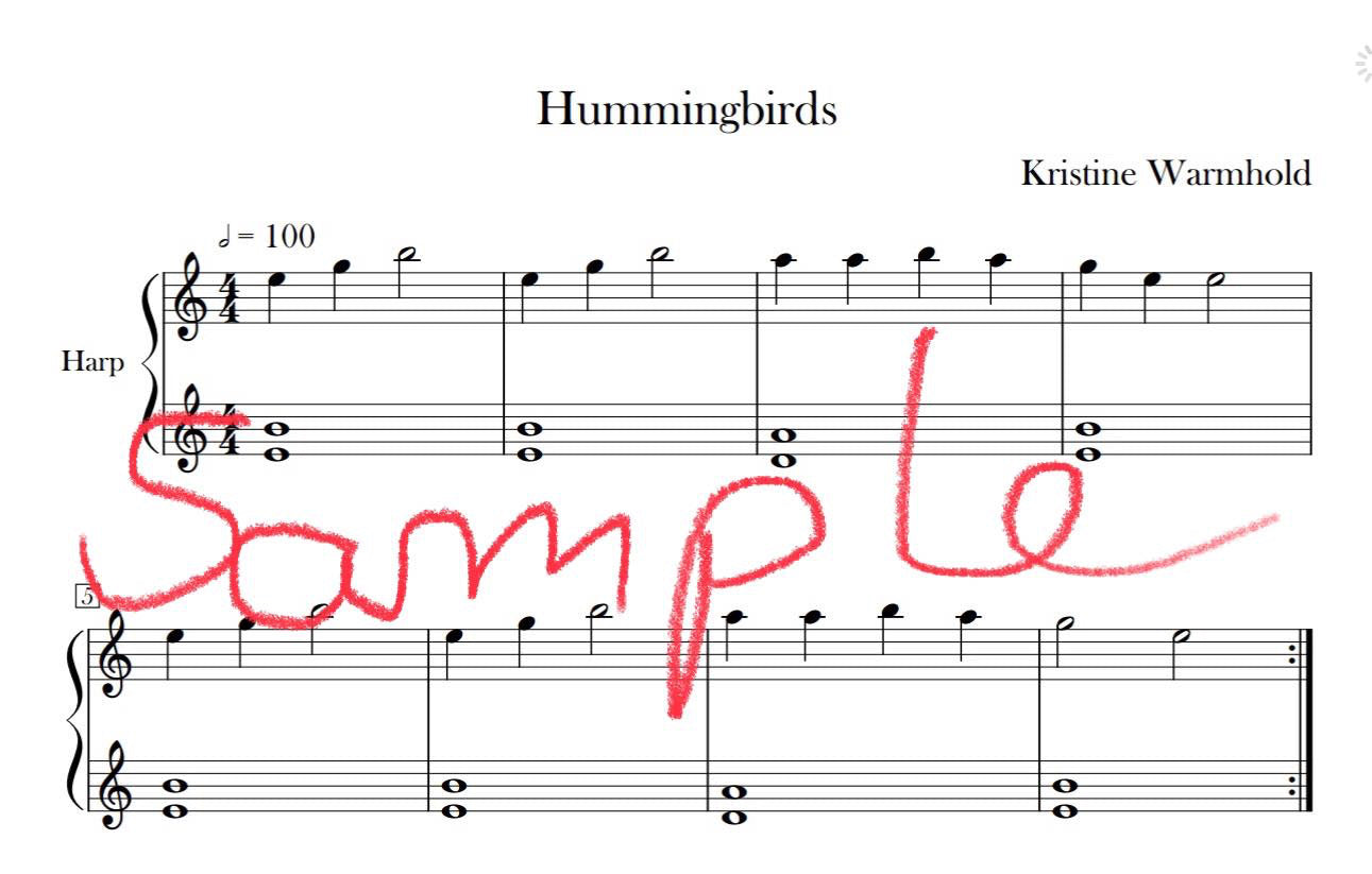 Hummingbird Harp Book - an Adventurer 20 book for children by Kristine Warmhold