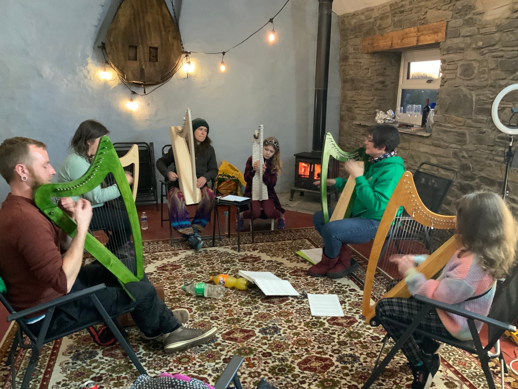 Discover The Harp in Llanrhystud 24/2/2024